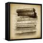 Ghost Writer-Jessica Jenney-Framed Stretched Canvas