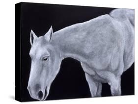 Ghost-Stevie Taylor-Stretched Canvas