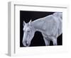 Ghost-Stevie Taylor-Framed Giclee Print