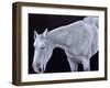 Ghost-Stevie Taylor-Framed Giclee Print