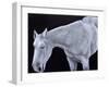 Ghost-Stevie Taylor-Framed Giclee Print