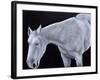 Ghost-Stevie Taylor-Framed Giclee Print