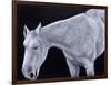 Ghost-Stevie Taylor-Framed Giclee Print