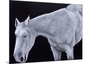 Ghost-Stevie Taylor-Mounted Giclee Print