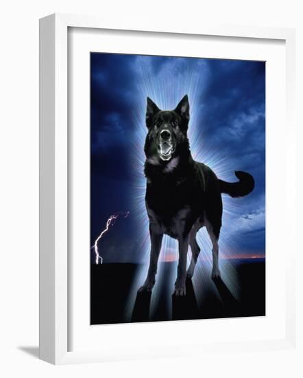 Ghostly Alsation Barking-Jane Burton-Framed Photographic Print