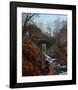 Ghyll Beck, Yorkshire, Early Spring-John Atkinson Grimshaw-Framed Giclee Print