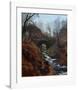 Ghyll Beck, Yorkshire, Early Spring-John Atkinson Grimshaw-Framed Giclee Print