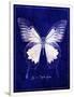 Gramercy White