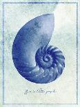Conch Shell B-GI ArtLab-Giclee Print