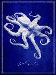 Octopus-GI ArtLab-Giclee Print