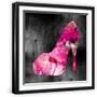 Black Frame