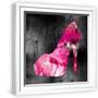 White Frame