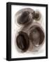 Essential Black