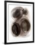 Gramercy Black