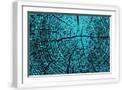 White Frame