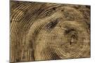 Wood Mount