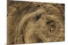 Wood Mount
