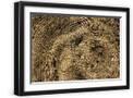 Black Frame