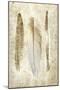 Wood Mount