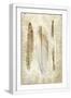 White Frame