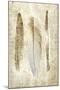 Wood Mount