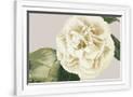 Gramercy White