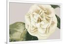 Gramercy White