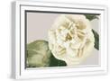 White Frame