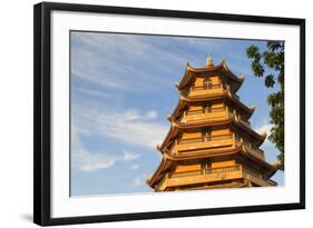 Giac Lam Pagoda, Ho Chi Minh City, Vietnam, Indochina, Southeast Asia, Asia-Ian Trower-Framed Photographic Print