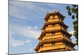 Giac Lam Pagoda, Ho Chi Minh City, Vietnam, Indochina, Southeast Asia, Asia-Ian Trower-Mounted Photographic Print