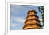 Giac Lam Pagoda, Ho Chi Minh City, Vietnam, Indochina, Southeast Asia, Asia-Ian Trower-Framed Photographic Print