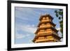 Giac Lam Pagoda, Ho Chi Minh City, Vietnam, Indochina, Southeast Asia, Asia-Ian Trower-Framed Photographic Print