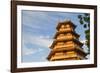Giac Lam Pagoda, Ho Chi Minh City, Vietnam, Indochina, Southeast Asia, Asia-Ian Trower-Framed Photographic Print
