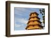 Giac Lam Pagoda, Ho Chi Minh City, Vietnam, Indochina, Southeast Asia, Asia-Ian Trower-Framed Photographic Print