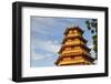 Giac Lam Pagoda, Ho Chi Minh City, Vietnam, Indochina, Southeast Asia, Asia-Ian Trower-Framed Photographic Print