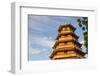 Giac Lam Pagoda, Ho Chi Minh City, Vietnam, Indochina, Southeast Asia, Asia-Ian Trower-Framed Photographic Print