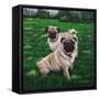 Giacomo and Luca-Bruce Dumas-Framed Stretched Canvas