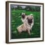 Giacomo and Luca-Bruce Dumas-Framed Giclee Print