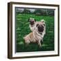 Giacomo and Luca-Bruce Dumas-Framed Premium Giclee Print