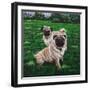 Giacomo and Luca-Bruce Dumas-Framed Giclee Print