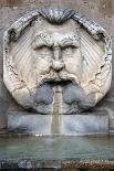 The Turtle Fountain. Detail. Turtle and Bronze Ephebe.16th Century. Rome. Italy-Giacomo della Porta-Framed Photographic Print