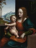 Virgin and Child, 1510-1515-Giampietrino-Giclee Print