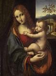 Virgin and Child, 1510-1525-Giampietrino-Framed Giclee Print