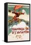 Gianduja Re D'J'Aviator Poster-Carlo Nicco-Framed Stretched Canvas