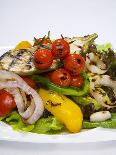 Mixed Salad with Grilled Vegetables-Giannis Agelou-Stretched Canvas