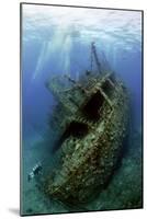 Giannis D Wreck-Dray Van Beeck-Mounted Photographic Print