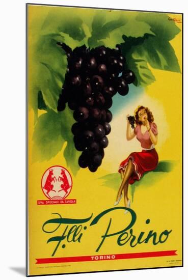 Gianrosa 1955 - Grapes-null-Mounted Giclee Print