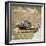 Giant African Land Snail-Alan J. S. Weaving-Framed Photographic Print