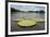 Giant Amazon Lily Pads, Valeria River, Boca Da Valeria, Amazon, Brazil-Cindy Miller Hopkins-Framed Photographic Print