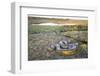 Giant Anaconda (Eunectes Murinus) Hato El Cedral, Llanos, Venezuela-Christophe Courteau-Framed Photographic Print